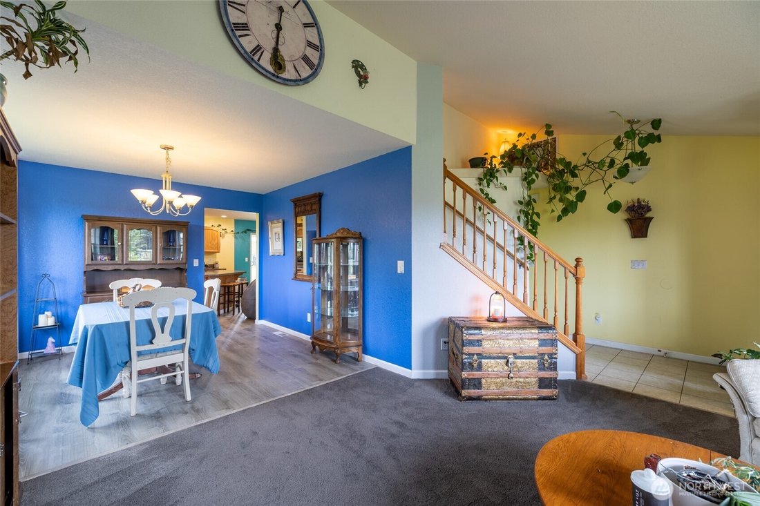 Rochester, Washington, United States 3 - 17834187