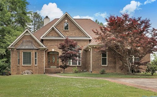 Farm Ranch in Blountsville, Alabama, United States 1