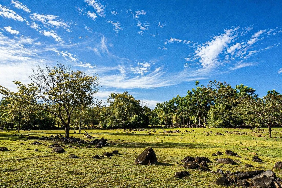 Finca in Dolega, Chiriquí Province, Panama 2 - 17816922
