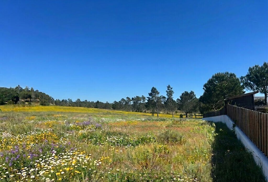 Land in Comporta, Setúbal Municipality, Portugal 3 - 17817474