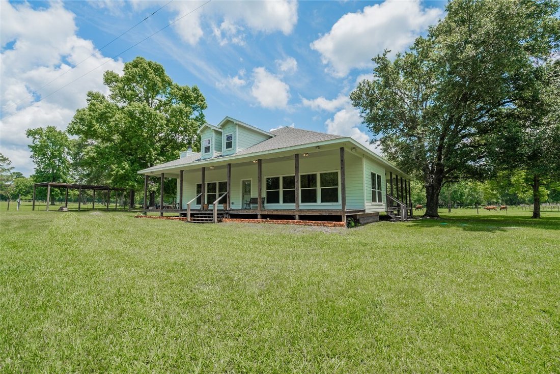 Farm Ranch in New Waverly, Texas, United States 5 - 14798353