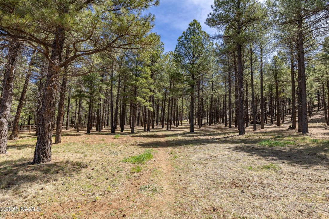 House in Flagstaff, Arizona, United States 5 - 17817394