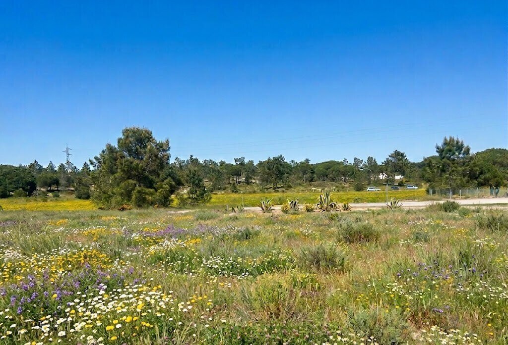 Land in Comporta, Setúbal Municipality, Portugal 5 - 17817474