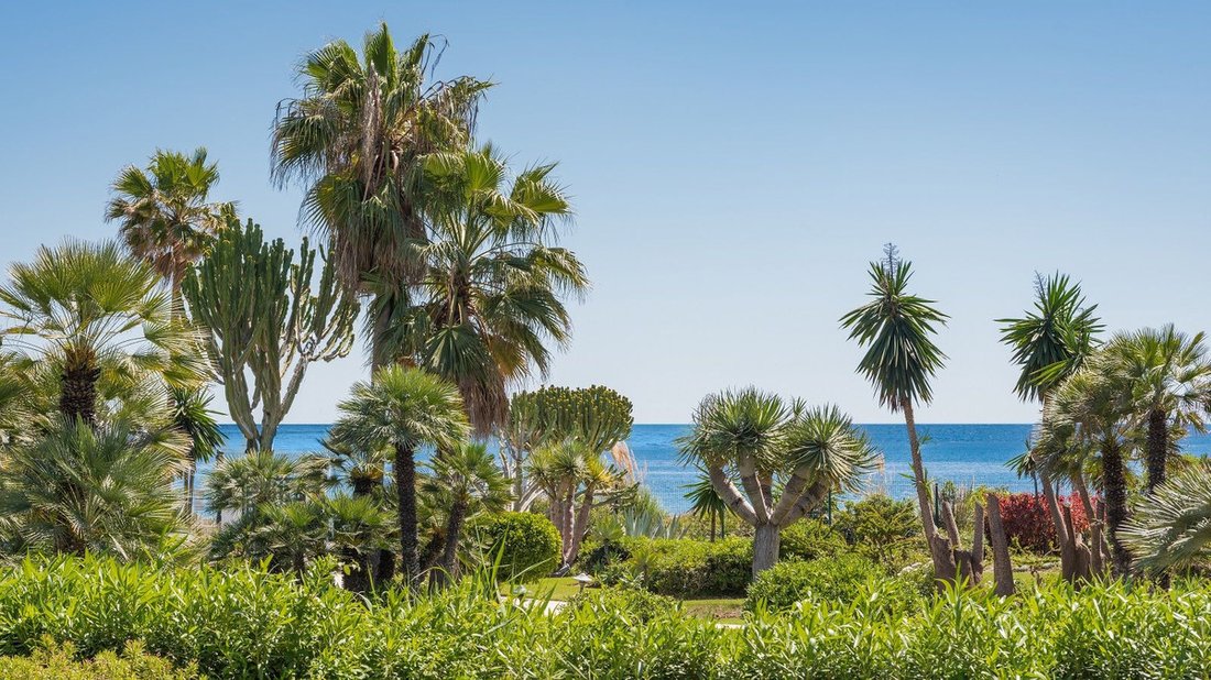 Apartment in Cancelada, Estepona, Andalusia 3 - 17817613