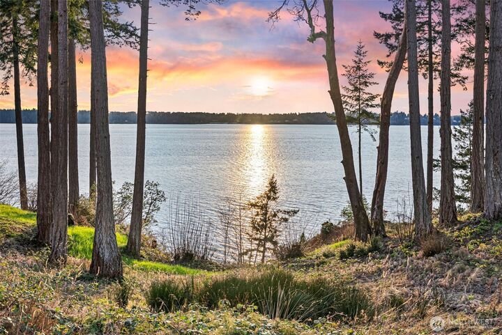 House in Lakebay, Washington, United States 3 - 17835005