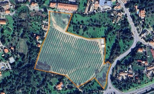 Land in São Brás de Alportel, Algarve, Portugal 1