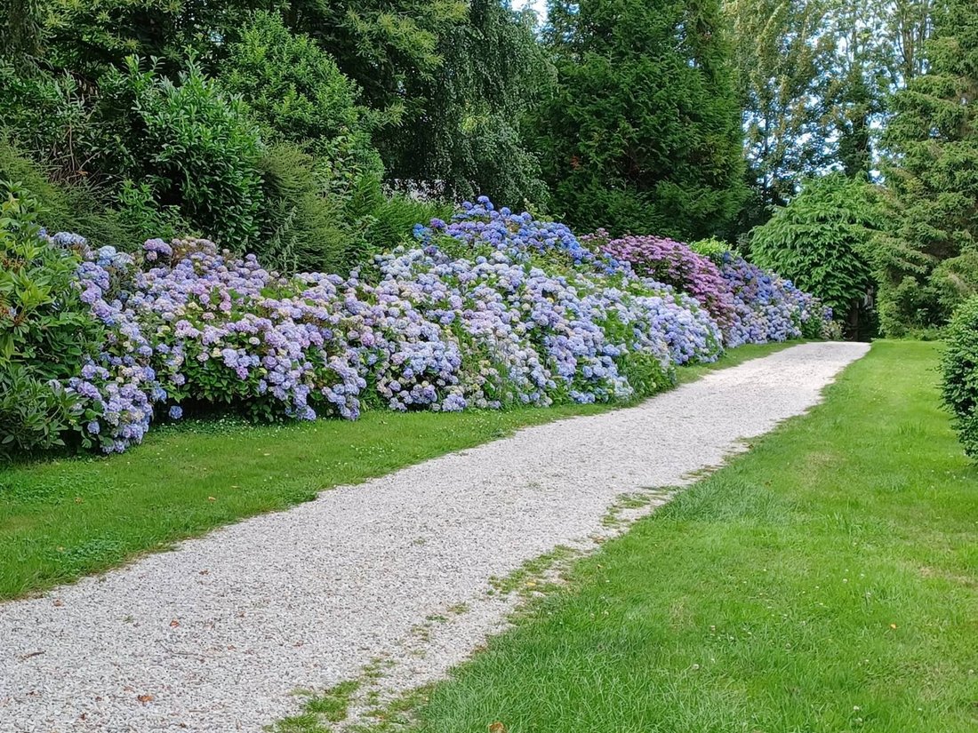House in Veules-les-Roses, Normandy, France 5 - 17832078