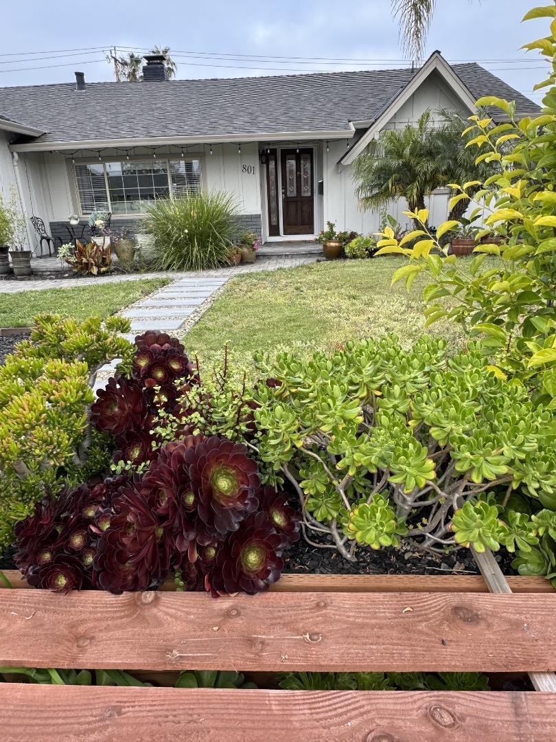 House in Campbell, California, United States 5 - 17826816