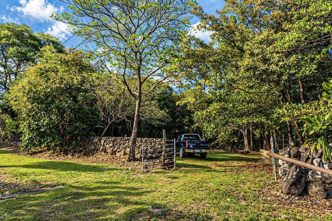 Finca in Dolega, Chiriquí Province, Panama 1 - 17816922