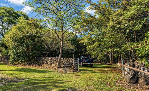 Finca in Dolega, Chiriquí Province, Panama 1