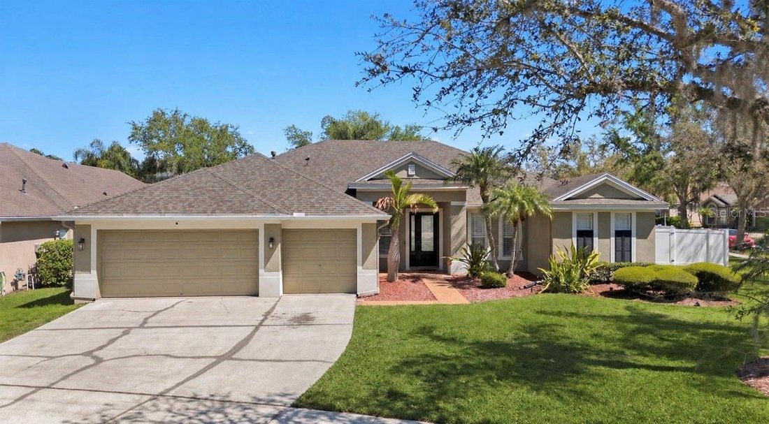 House in Tampa, Florida, United States 1 - 17823391