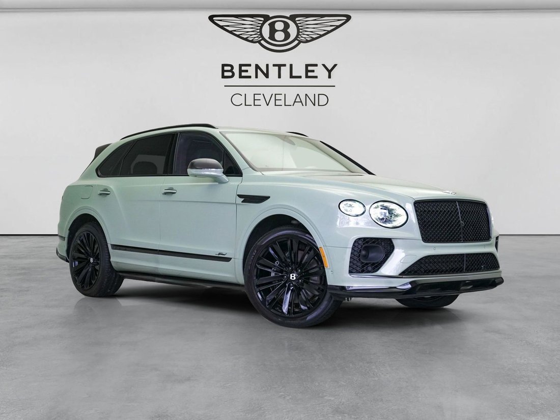 Suv in North Olmsted, OH, United States 1 - 17509213