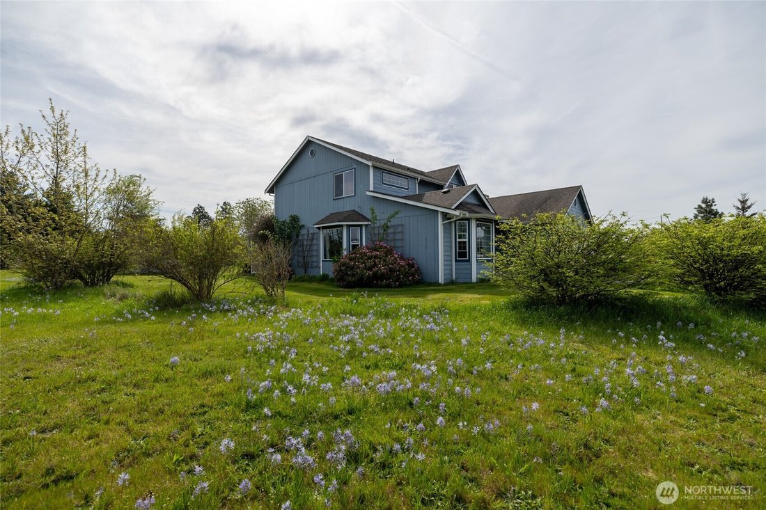 Rochester, Washington, United States 4 - 17834187