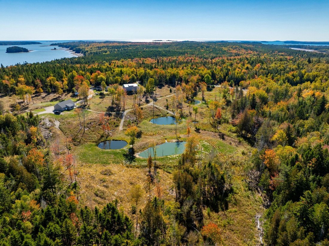 House in Roque Bluffs, Maine, United States 3 - 17831680