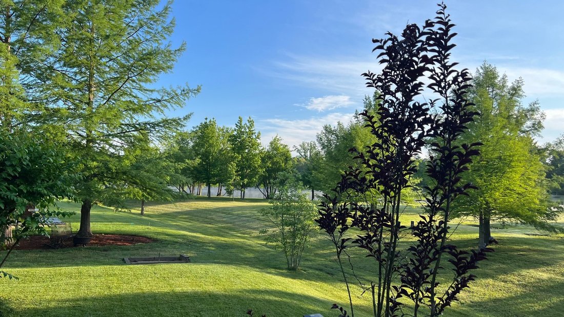 House in Franklin, Tennessee, United States 4 - 17831995