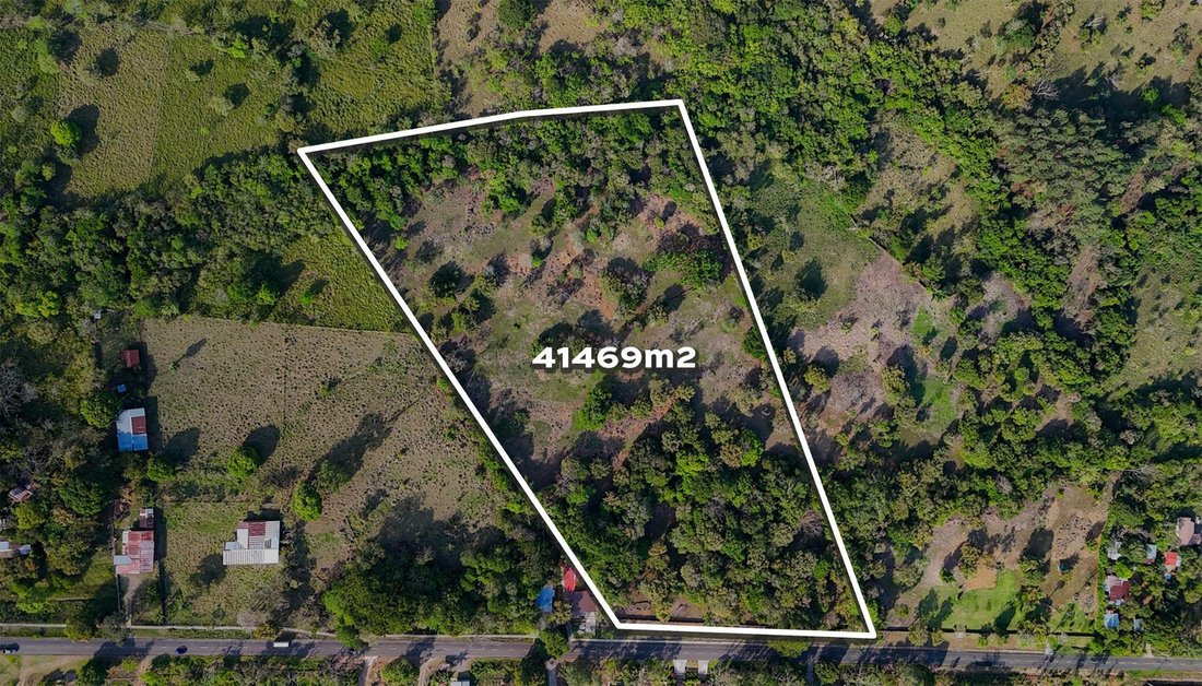 Finca in Dolega, Chiriquí Province, Panama 3 - 17816922