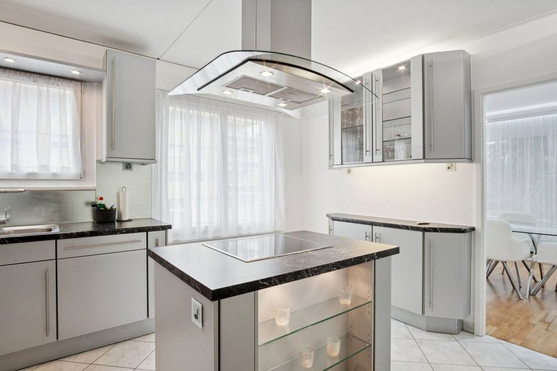 Apartment in La Tour-de-Peilz, Vaud, Switzerland 4 - 16460107