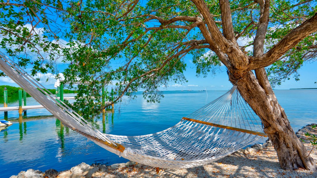 House in Islamorada, Florida, United States 2 - 17780917