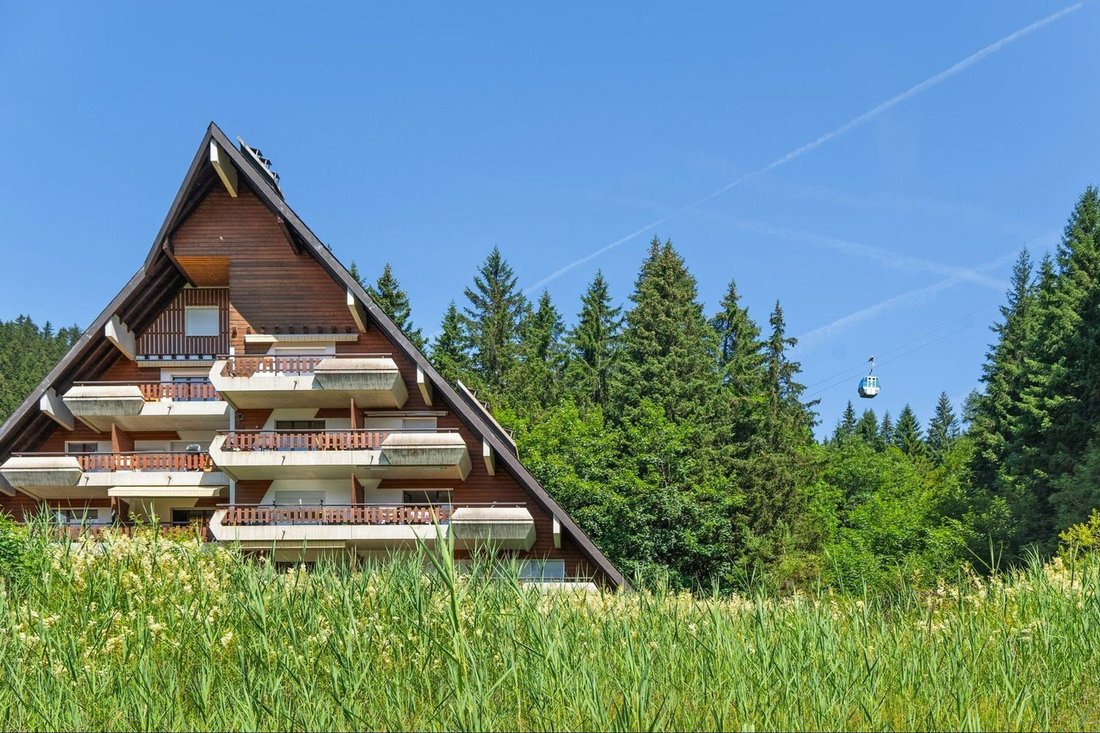 House in Gryon, Vaud, Switzerland 2 - 14665467