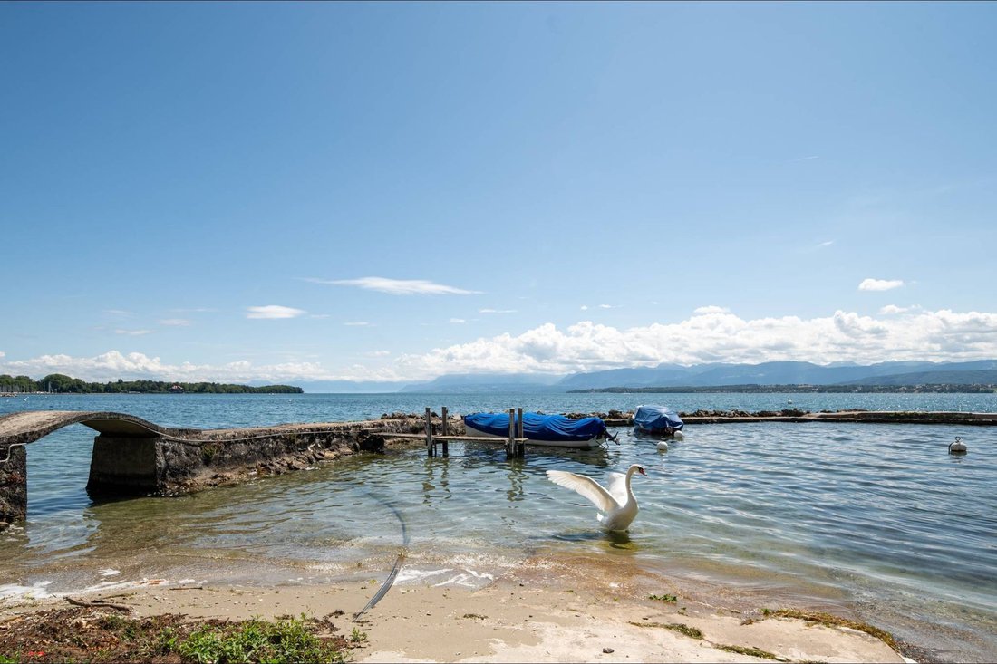 Andere in Nyon, Waadt, Schweiz 4 - 13347854