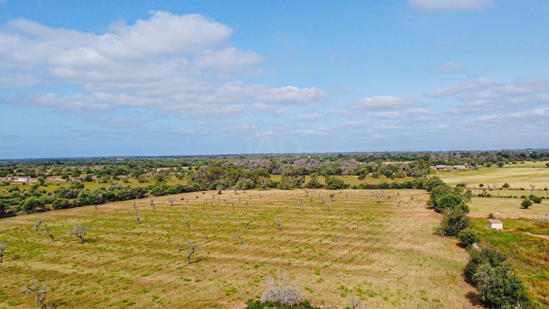 Land in Llucmajor, Balearische Inseln, Spanien 4 - 17742473
