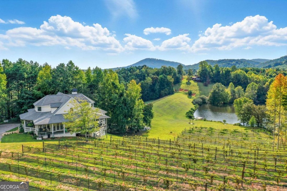 House in Jasper, Georgia, United States 3 - 17830765