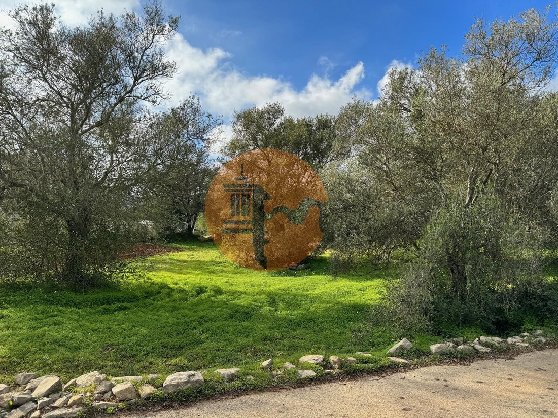 Land in Sao Bras de Alportel, Algarve, Portugal 3 - 17821072