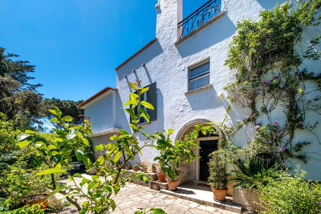Villa in Cascais e Estoril, Lisbon, Portugal 5 - 17821134
