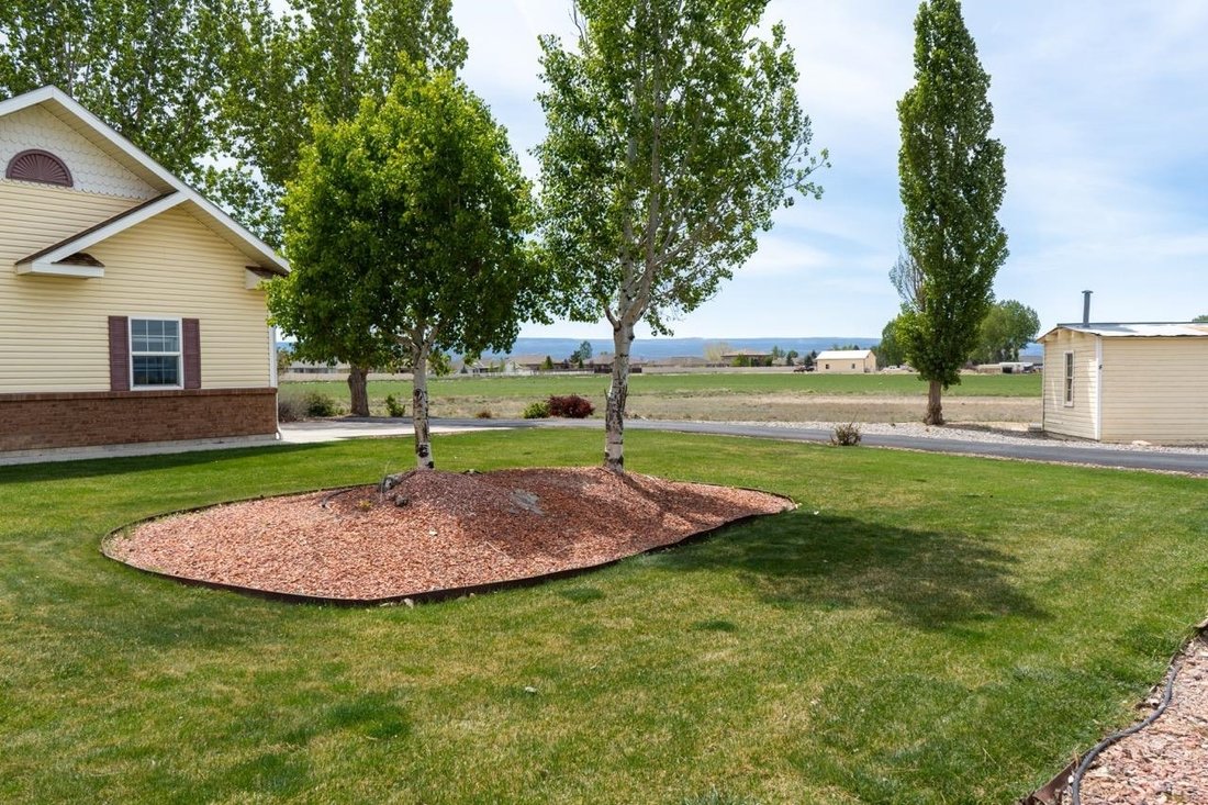 House in Montrose, Colorado, United States 5 - 17347112
