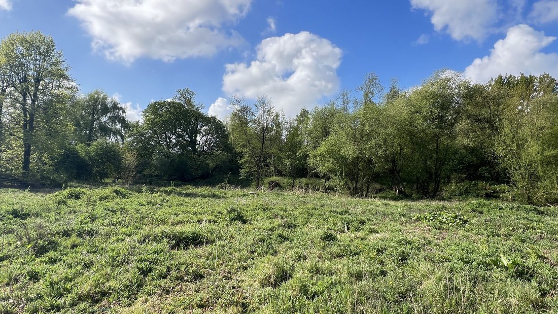 Land in Gruson, Hauts-de-France, France 2 - 17826211