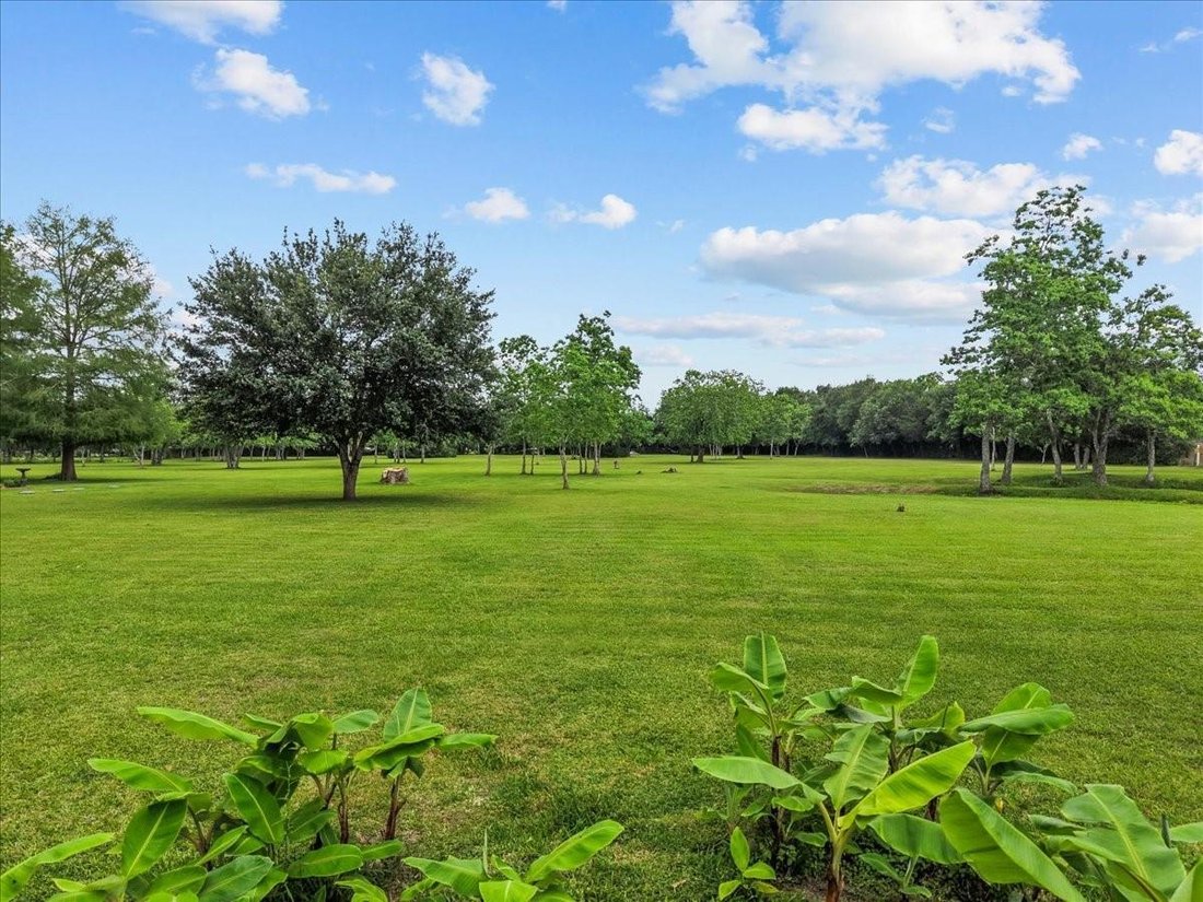 House in Dickinson, Texas, United States 1 - 17832018