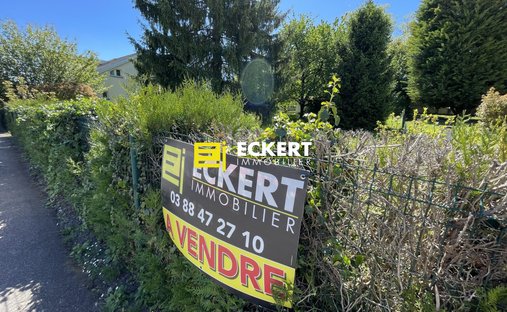 Land in Dingsheim, Grand Est, France 1
