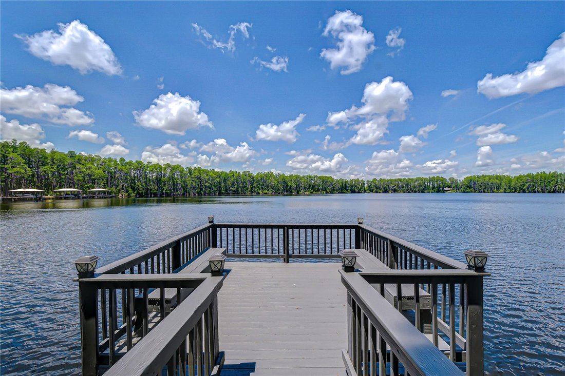 House in Land O' Lakes, Florida, United States 3 - 17823405