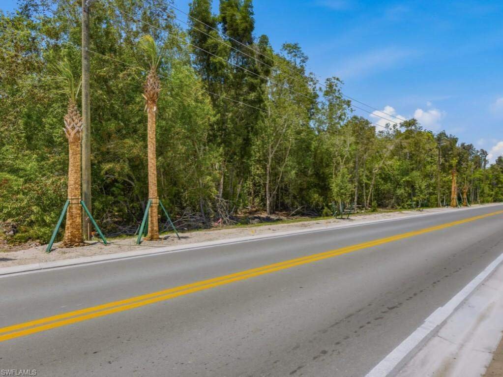 Land in Bonita Springs, Florida, United States 5 - 17831701