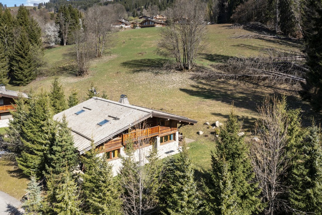 Chalet in Demi-Quartier, Auvergne-Rhône-Alpes, France 4 - 17820923