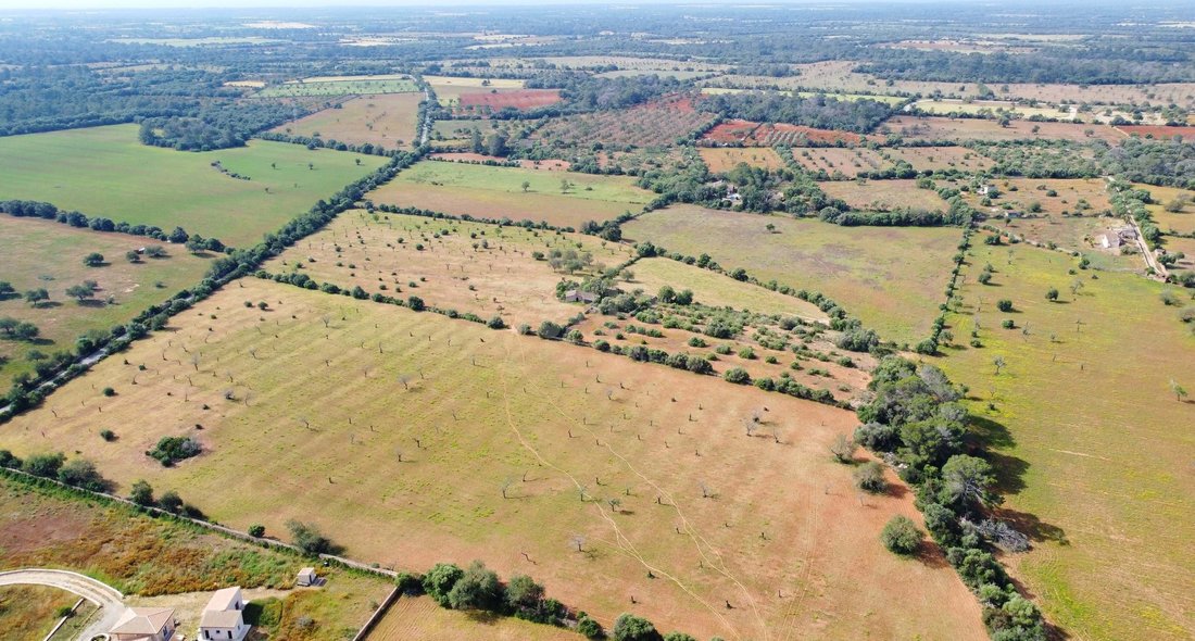 Land in Llucmajor, Balearische Inseln, Spanien 1 - 17742473
