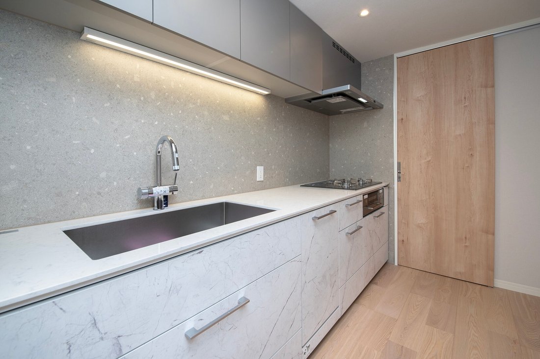 Condo in Minato City, Tokyo, Japan 4 - 17547247