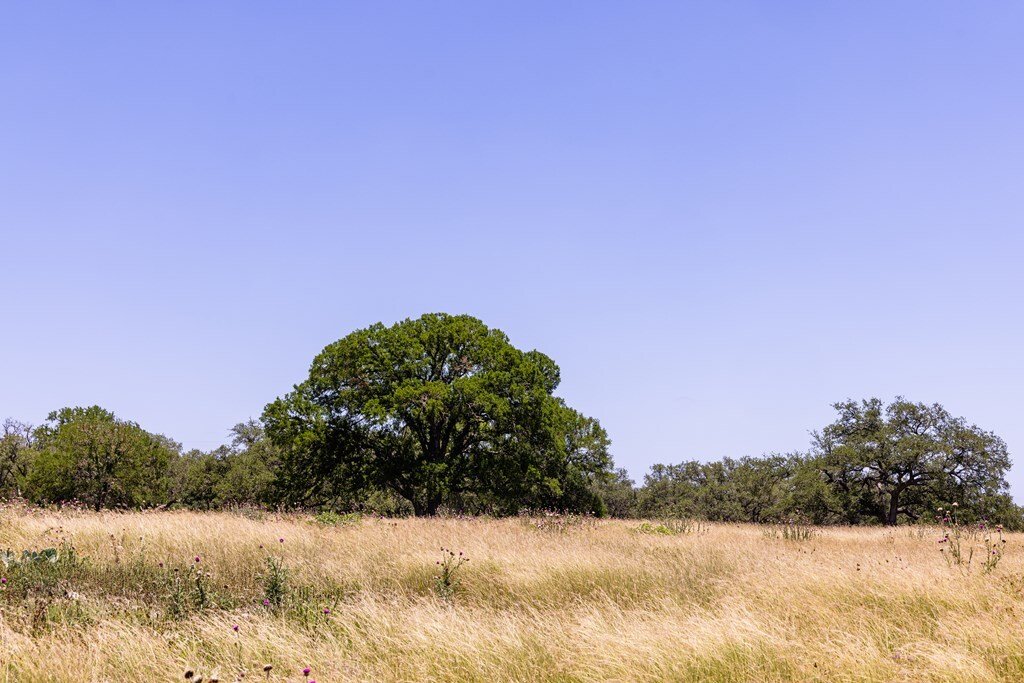 House in Boerne, Texas, United States 3 - 17819605