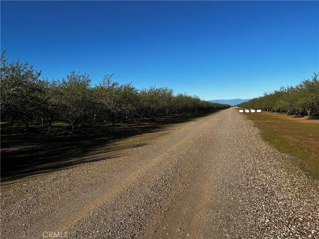 House in Corning, California, United States 4 - 17456594