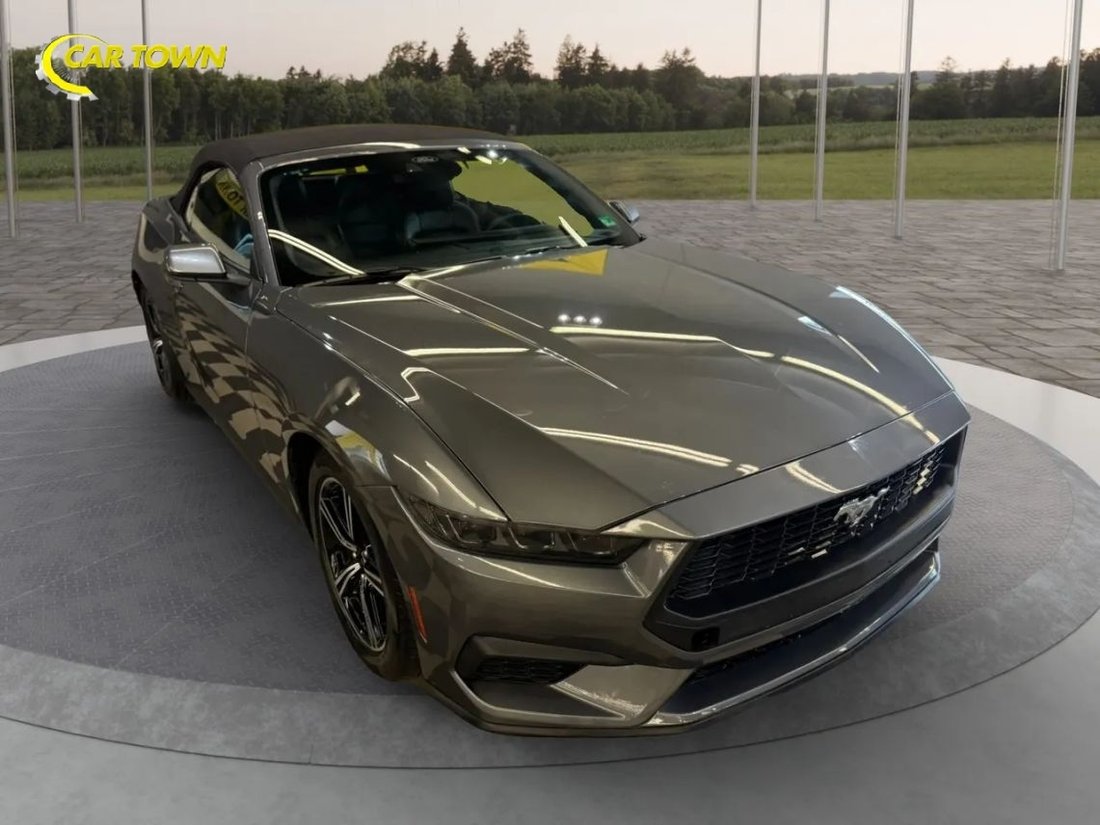 Cabriolet in Manassas, VA, United States 5 - 17830962
