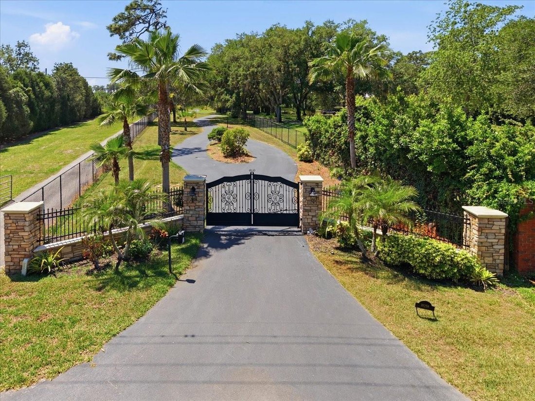 House in Odessa, Florida, United States 5 - 17823523