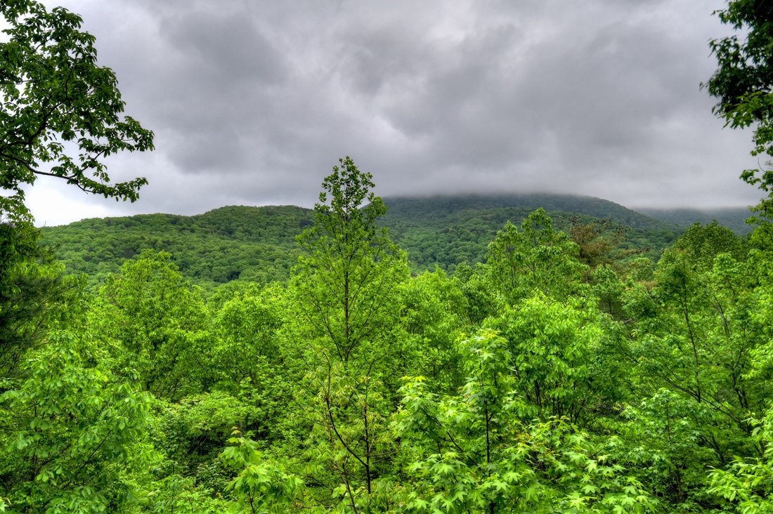 House in Ellijay, Georgia, United States 5 - 17821659