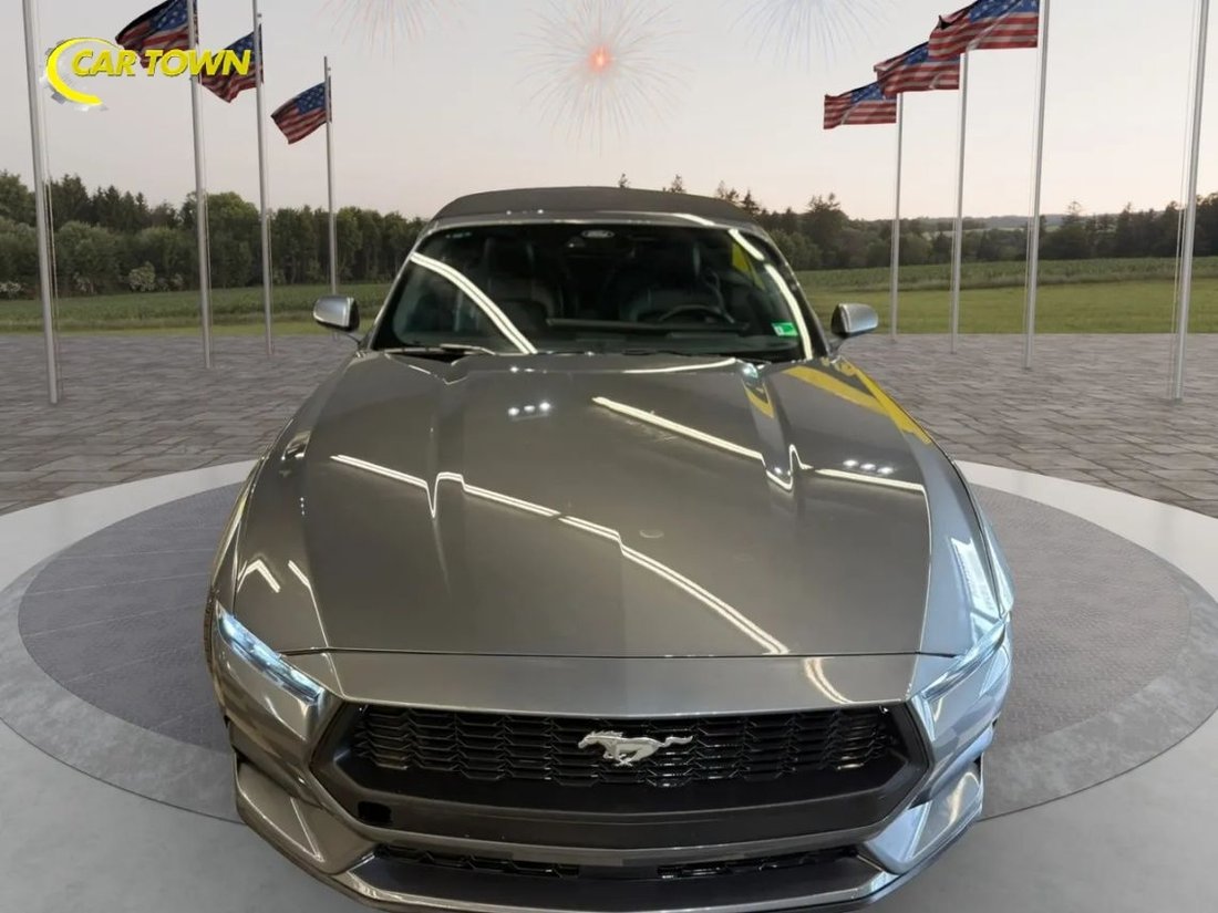 Cabriolet in Manassas, VA, United States 3 - 17830962