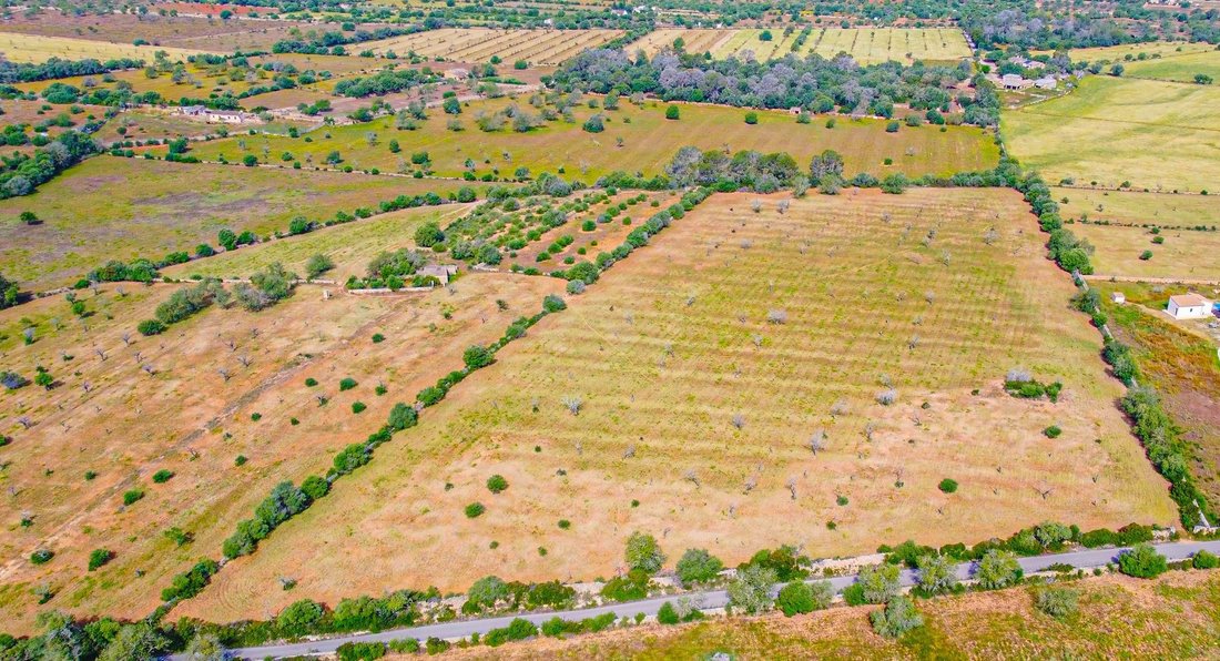 Land in Llucmajor, Balearische Inseln, Spanien 5 - 17742473