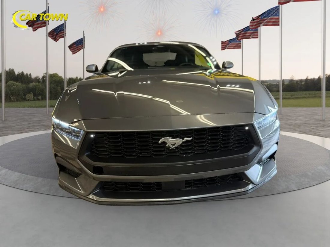 Cabriolet in Manassas, VA, United States 4 - 17830962