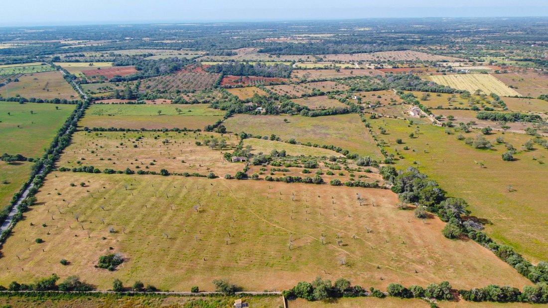 Land in Llucmajor, Balearische Inseln, Spanien 3 - 17742473