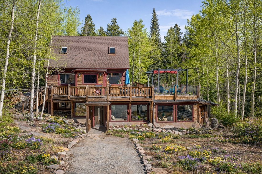 House in Alma, Colorado, United States 1 - 16557012