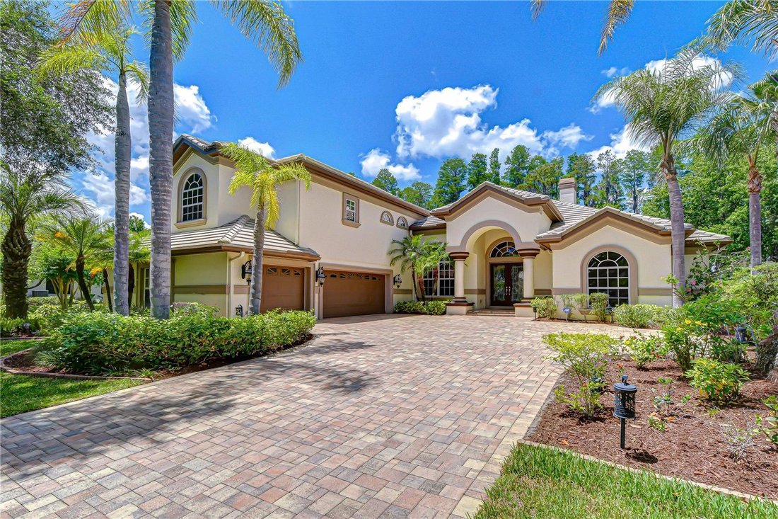 House in Land O' Lakes, Florida, United States 4 - 17823405