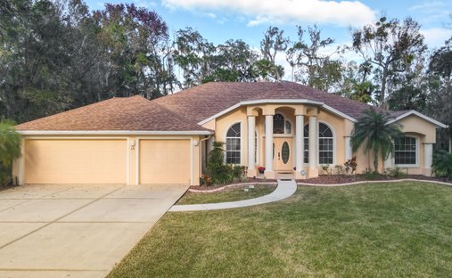 House in Ormond Beach, Florida, United States 1
