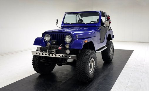 304ci 2bbl V8/T176 Manual/Off Road Ready/Lifted Rig/AMC 20 &amp; Dana 30 Axles in Morgantown, United States 1
